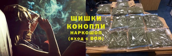 молекула духа Пересвет