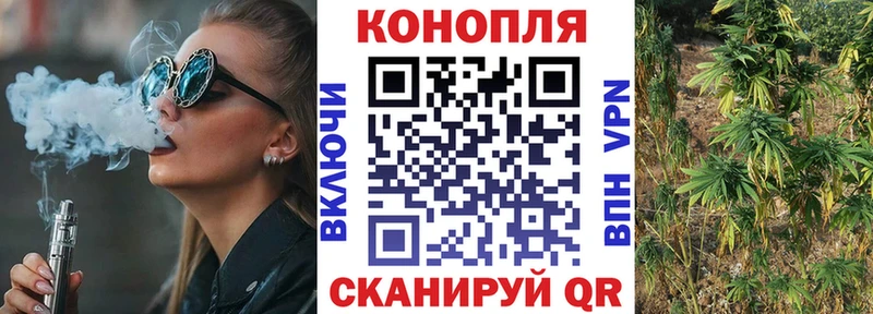 купить цена Ртищево Бошки марихуана марихуана
